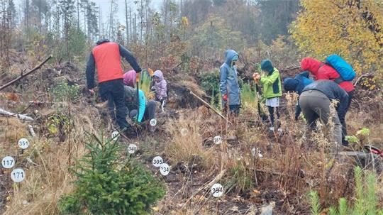 Gruppe von Menschen in Herbstkleidung, die auf einem bewachsenen Hang mit nummerierten Markierungen im Boden arbeiten.