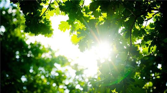 Trotz des vielen Regens war der Frühjahr so warm wie noch nie.