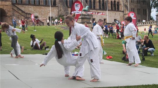 Trubel auf der Kaiserpfalzwiese: Der Nachwuchs der Ju-Jutsu-Abteiltung gibt Einblicke in diese Kampfsportart.