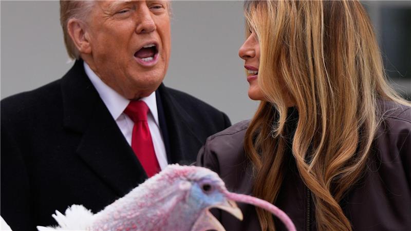 Trump begnadigt Truthahn vor Thanksgiving.