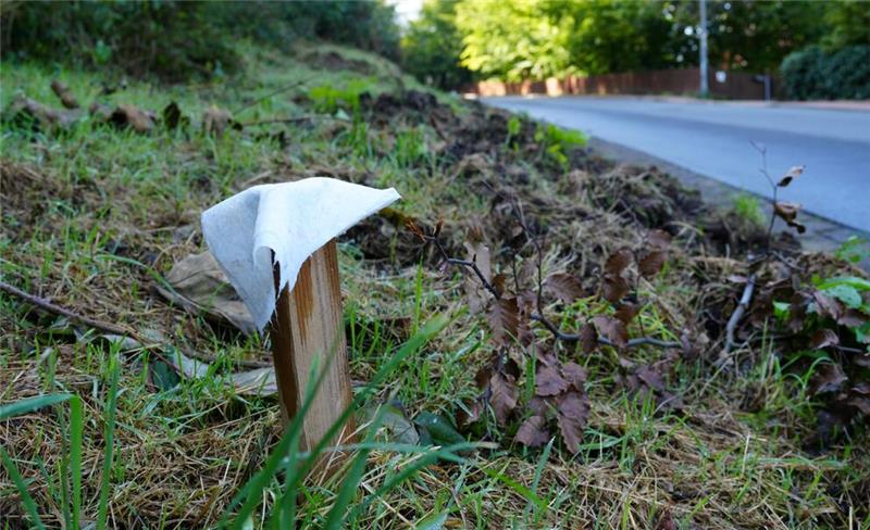 Tücher mit intensivem Geruch sollen die Wildschweine vom Wühlen in der Straße Am Silberborn abhalten.