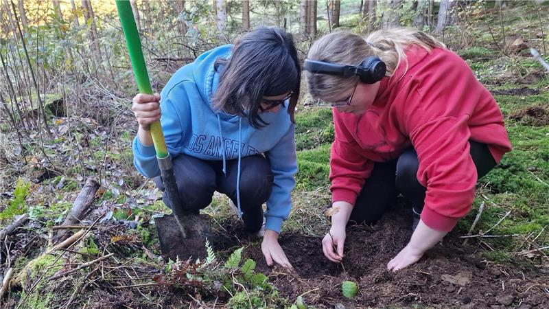 Schüler des Robert-Koch-Gymnasiums stellen einen neuen Rekord auf Zwei Mädchen knien im Wald und pflanzen gemeinsam einen Baum in die Erde. Das linke Mädchen hält einen Spaten in der Hand.