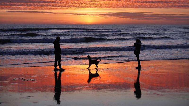 Tynemouth (Großbritannien): Früher Spaziergang am Meer – Hund und Begleiter im Sonnenaufgang am Strand