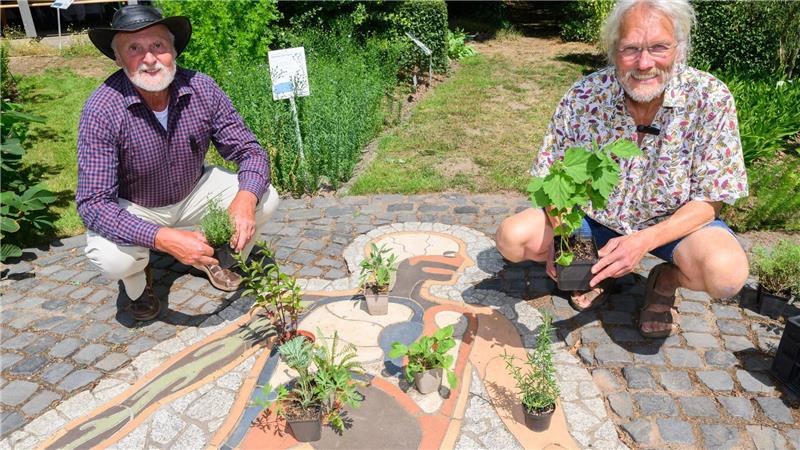 Apothekergarten zeigt seit 25 Jahren Heilkräfte von Pflanzen Udo Eilert vom Förderverein Apothekergarten (links) und Jörg Ledderbogen vom Schulbiologiezentrum kümmern sich um die Heilpflanzen.
