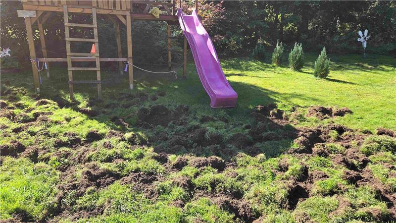 Über Nacht ist der Garten nicht mehr wiederzuerkennen, Familie Creutzig spricht von einem „Schlachtfeld“.