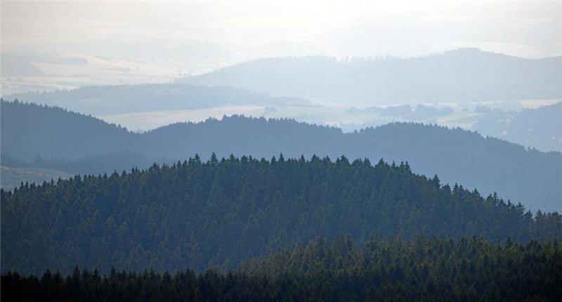 „Über allen Gipfeln ist Ruh’“, dichtete Goethe einst: Im Nationalpark und im übrigen Harz tobt derzeit allerdings ein Streit über den Borkenkäfer. Die Jagd ist ein weiteres Thema, das den früheren Nationalparkleiter Dr. Barth bewegt. Foto: dpa