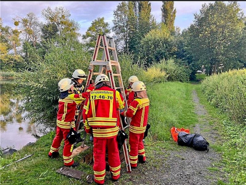 Lutteraner Feuerwehr rettet Enten in Not am Weidenteich Über den Schacht des Ablaufs errichten die Einsatzkräfte eine Bockleiter an dem ein Aktiver zur Entenrettung in die Tiefe abgeseilt wird. Foto: Feuerwehr Lutter