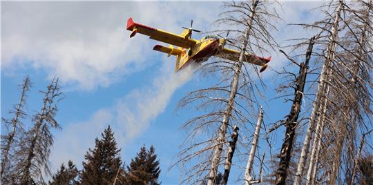 Über die Anschaffung eigener Löschflugzeuge, wie das der italienischen Feuerwehr wird in dieser Woche auch im Kreistag in Wernigerode beraten.  Fotos: Matthias Bein/dpa