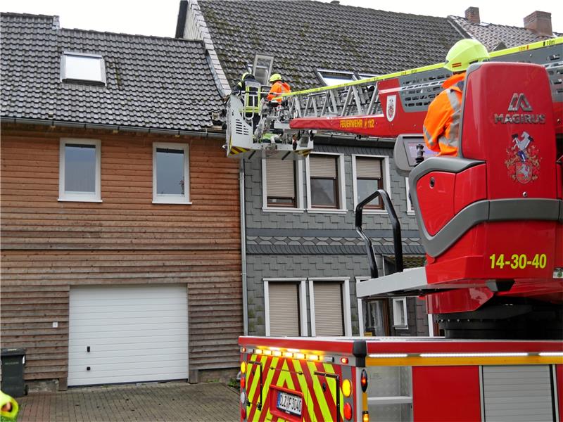 Feuerwehr rettet verkeilten Kater Purzel vom Dach Über die Drehleiter rettet die Feuerwehr den Kater Purzel, der sich unter Ziegeln verkeilt hat. Foto: Feuerwehr