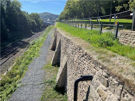 Über die frisch sanierte historische Feldmauer an der Bahnstrecke wächst Gras – mit Absicht. Die speziellen Grassoden sollen das Mauerwerk von oben schützen. Foto: Kleine