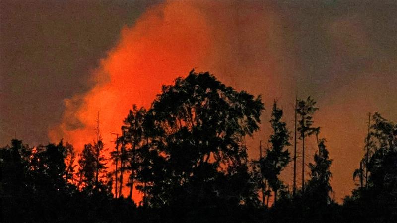 Brennender Wald mit Flammen und Rauch hinter Bäumen in der Dämmerung.