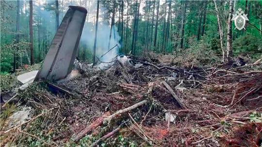 Überreste der abgestürzten An-24 mitten in der Taiga.
