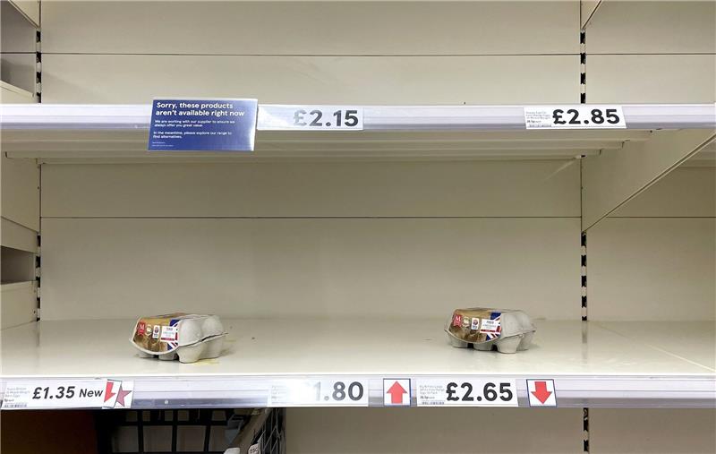 Großbritannien gehen Eier aus Übersichtliches Angebot im Eierregal einer Tesco-Filiale in Ashford. Tesco hat sich anderen Supermärkten angeschlossen und die Anzahl der Eierkartons, die Kunden kaufen können, begrenzt, da die Auswirkungen der steigenden Kosten und der Vogelgrippe weiterhin ihren Tribut fordern.