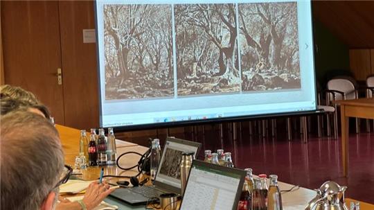 Um die Computer und ihre Programm künftig im Rathaus noch effektiver nutzen zu können, will die Stadt Braunlage zwei Genossenschaften beitreten.