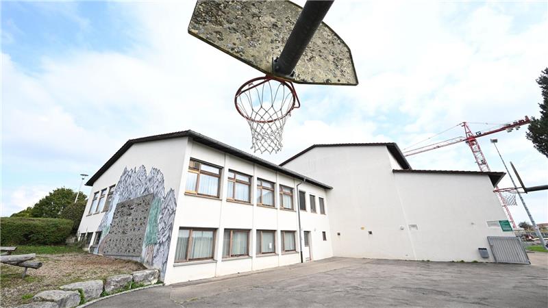 Um die Gemeindehalle in Kirchberg an der Murr abreißen zu dürfen, musste sich die Gemeinde erst um vier Fledermäuse kümmern.