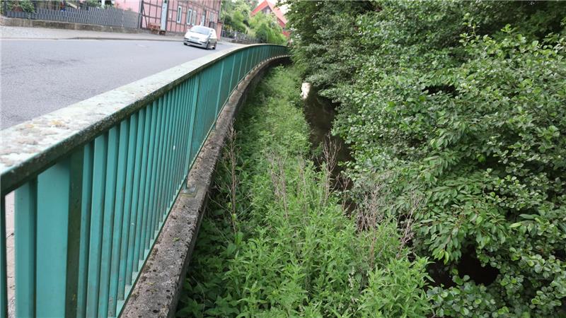 Um die Hochwasserschutzmaßnahme in Neuwallmoden umzusetzen, muss an dieser Stelle eine 2,50 Meter hohe und 120 Meter lange Lichtschutzwand gebaut werden.