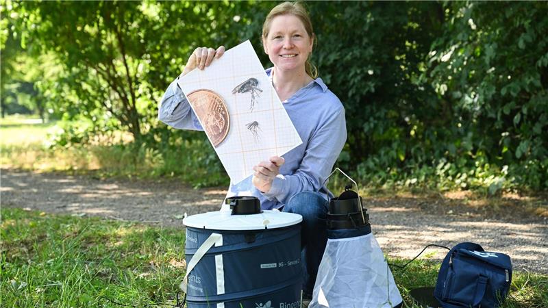 „Um mehr Informationen über die Verbreitung von Tigermücken in Niedersachsen zu gewinnen, sind wir auch auf die Unterstützung jedes Einzelnen angewiesen“, sagt Fachtierärztin Sonja Wolken.