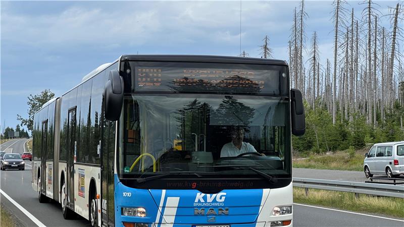 Das Foto zeigt einen Gelenkbus.