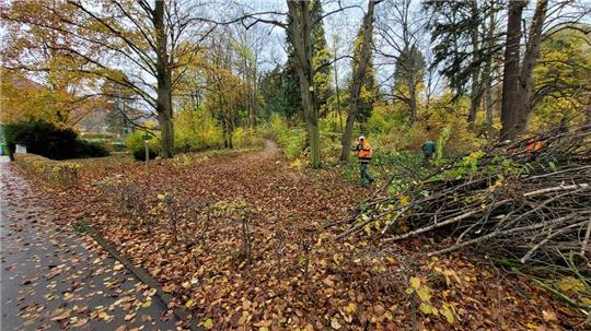 Um rund 30 Meter in der Tiefe und 100 Meter in der Breite wird der Bad Harzburger Kurpark im Südwesten wachsen, sich dabei optisch jedoch nicht groß verändern.