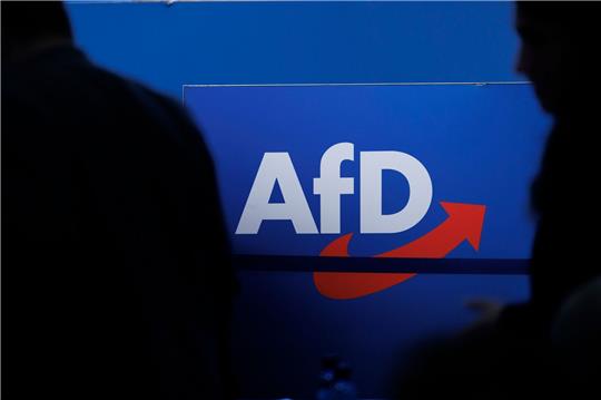 Umfragen zufolge könnte die AfD in Sachsen, Thüringen und Brandenburg teilweise mit deutlichem Abstand stärkste Kraft werden.