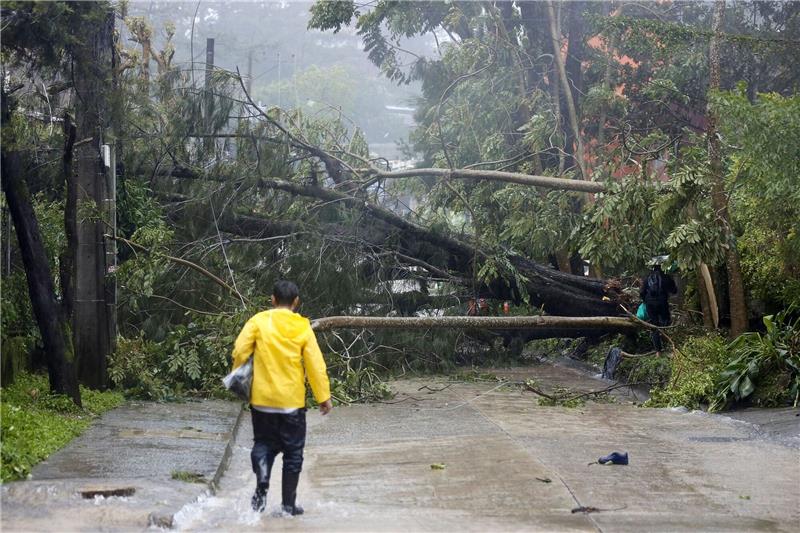 Taifun „Doksuri” wütet auf den Philippinen Umgestürzte Bäume blockieren eine Straße in Baguio City im Norden der Philippinen. .