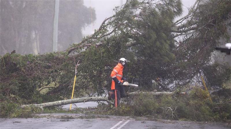 Umgestürzte Bäume und Strommasten: Tausende Anwohner sind bereits ohne Strom.