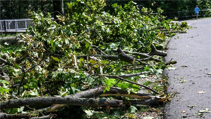 Nach den Gewittern kommt die große Hitze Umgestürzte Bäume und abgebrochene Äste nach dem Unwetter in Erfurt.
