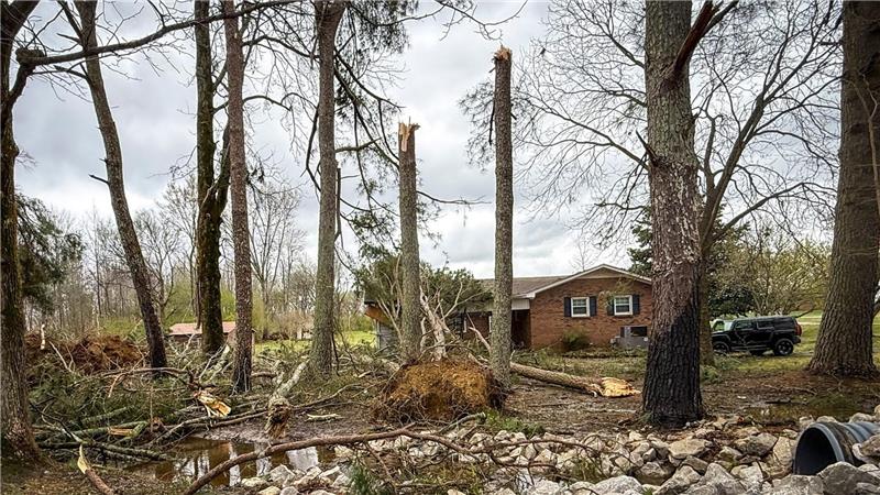 Umgestürzte und entwurzelte Bäume umgeben ein Haus in Lexington, Alabama.