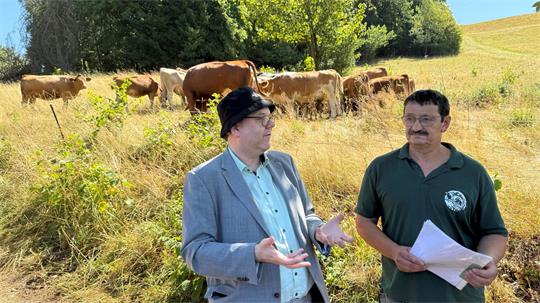 Das Foto zeigt zwei Männer, die vor einer Herde Kühe stehen.