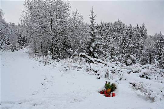 Unbekannte haben am Fundort der ermordeten Luise Blumen aufgestellt.