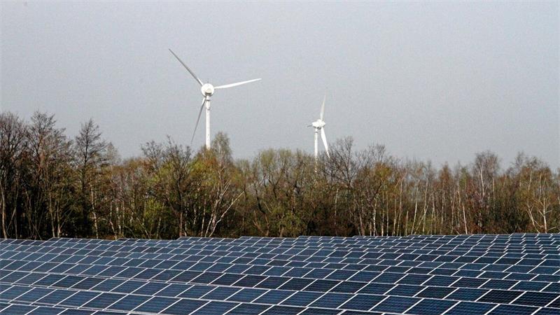 Das Bild zeigt Solaranlagen, im Hintergrund sind zwei große Windräder zu sehen.