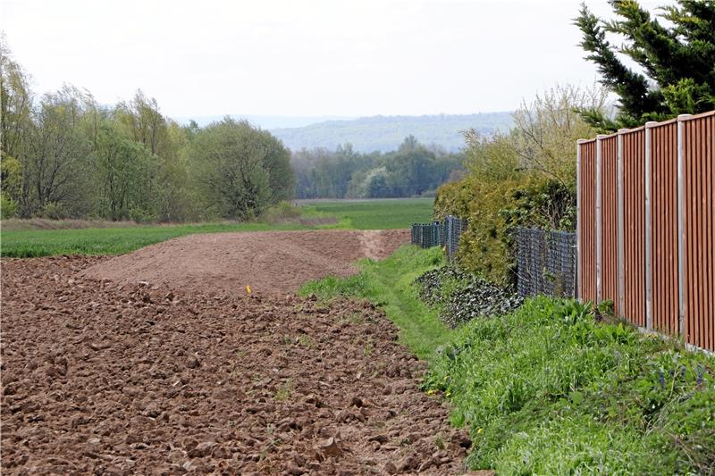 Und plötzlich endet der Hochwasserschutzdamm im Nichts: Laut Wasserverband Peine sei die Schladener Ortslage trotzdem geschützt, weil die natürliche Topografie ein Eindringen der Fluten verhindert.  Foto: Gereke