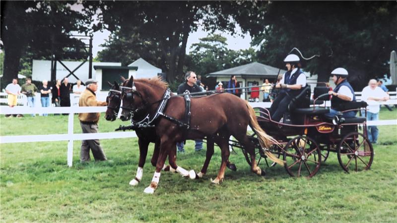 Zwei Pferde vor einer Kursche. 