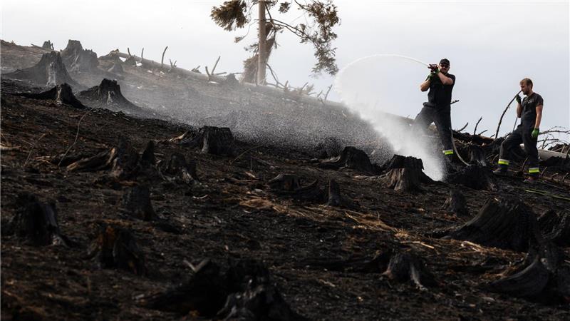 Leichte Entwarnung bei Waldbrand in Thüringen „Unsere Kräfte sind erschöpft“, sagte Landrat Marko Wolfram.