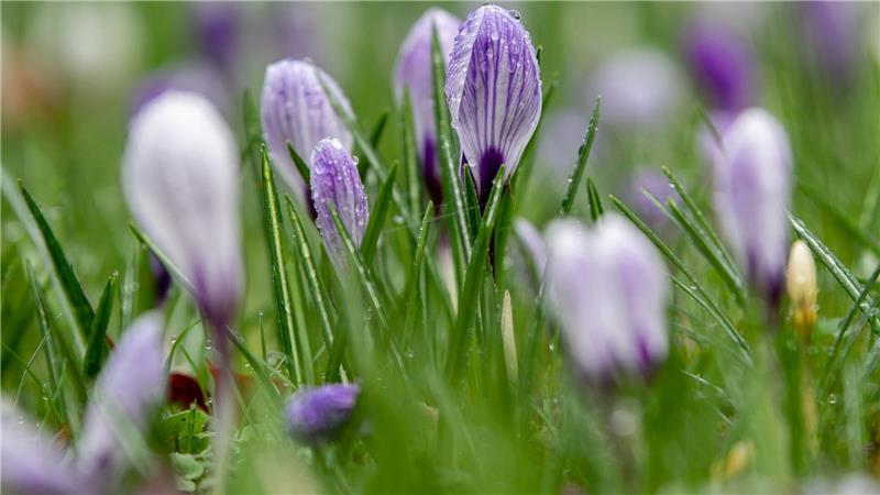 Unter Hochdruckeinfluss bleibt es in Niedersachsen und Bremen überwiegend trocken. (Symbolbild)