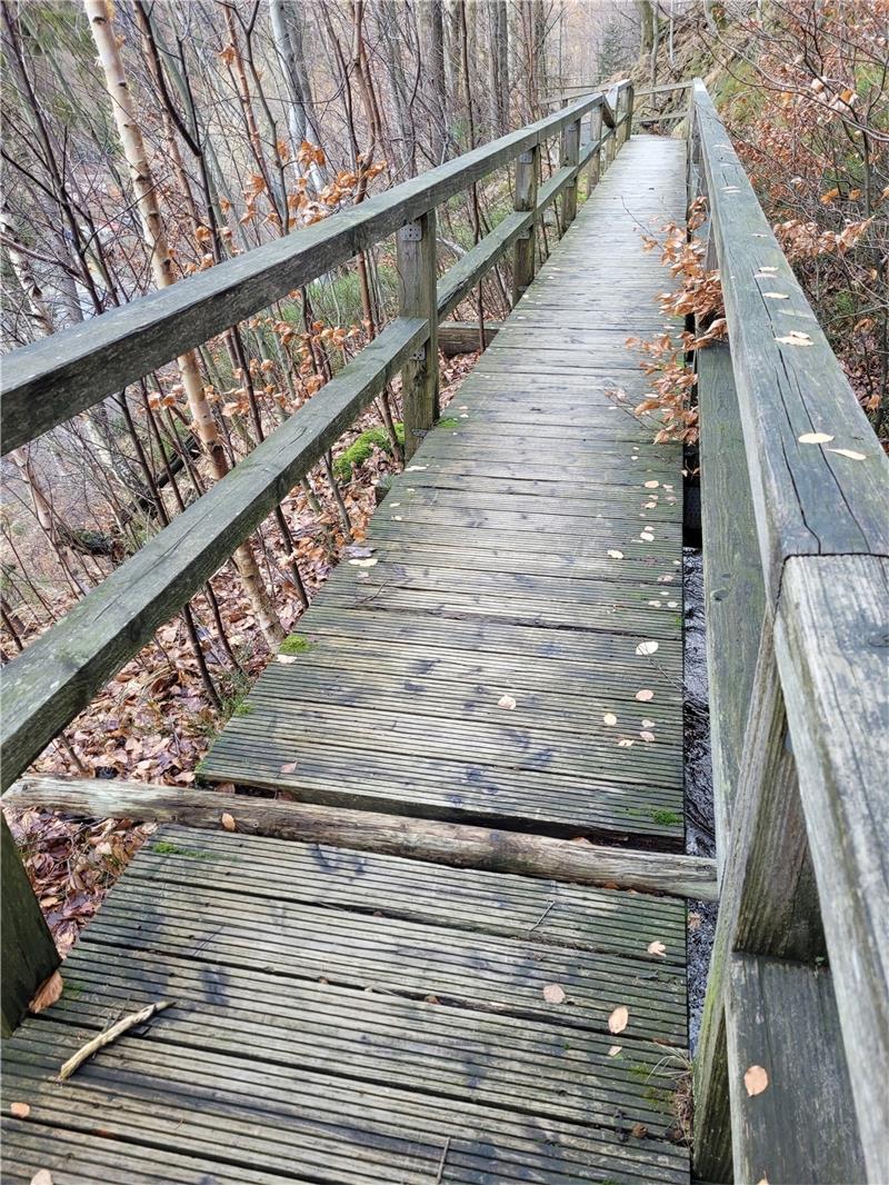 Unter anderem der vor mehr als 15 Jahren errichtete Holzsteg über den Zulauf hat dringende Reparaturen nötig. Foto: Exner