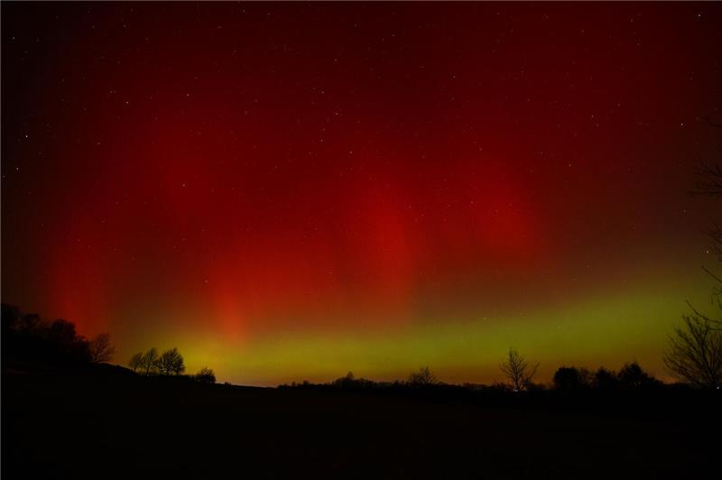 "Unter anderem dieses Foto konnte ich gestern auf dem Golfplatz in Bad Harzburg ...