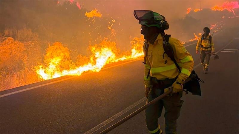 Viele Tote bei Waldbrand in Andalusien - „Schreckensnacht“ Unter den Opfern befinden sich mutmaßlich auch ausländische Touristen.