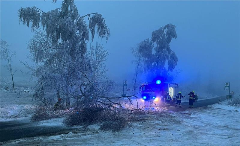 Eisige Last: Bäume fallen bei Braunlage auf die Straßen Unter der Schneelast zusammengebrochen: Gleich mehrere Bäume fallen am Wochenende auf die Straßen rund um Braunlage und müssen von den Einsatzkräften der Feuerwehren beseitigt werden. Foto: Feuerwehr Hohegeiß