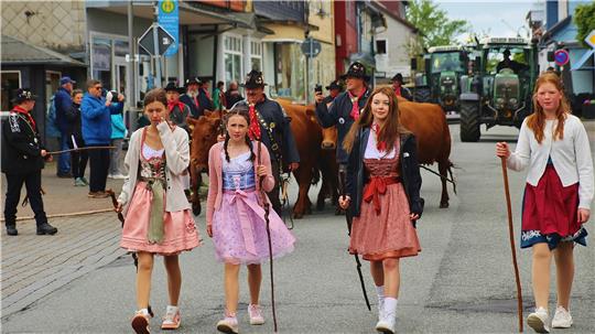 Das Foto zeigt Menschen und Kühe, die mitten auf einer Straße durch eine Stadt gehen.