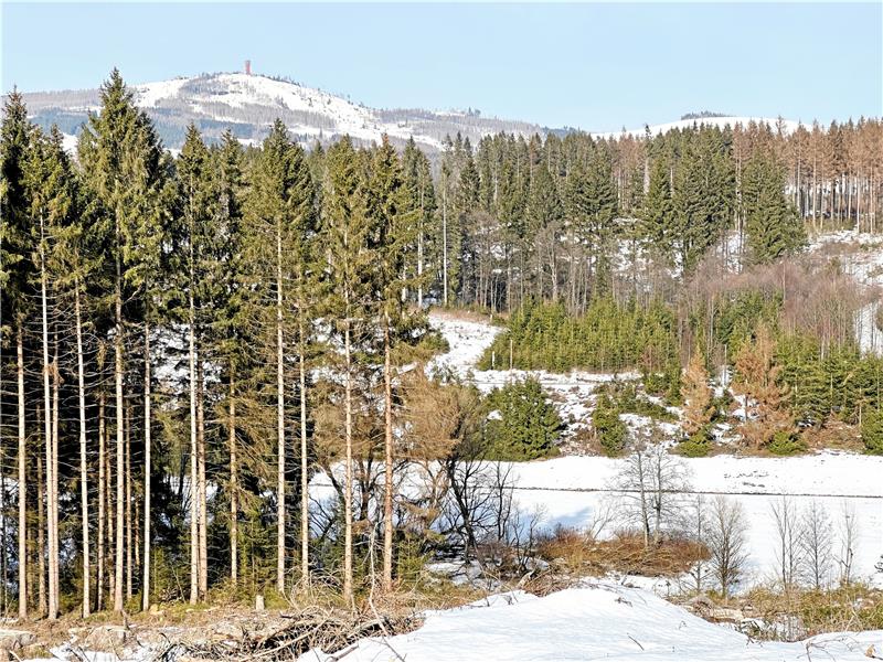 Unterhalb des Wurmbergs in Braunlage neigen sich der große und der kleine Winterberg in Schierke. Nachdem die Schierker Seilbahnpläne gescheitert sind, ist nun eine Skirollerstrecke geplant – und Kooperationen mit Braunlage.  Foto: Eggers