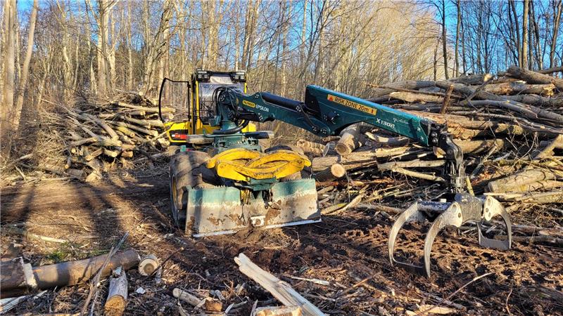 Unterstützung bietet der sogenannte Skidder, ein Forstspezialfahrzeug mit entsprechender Ausstattung.
