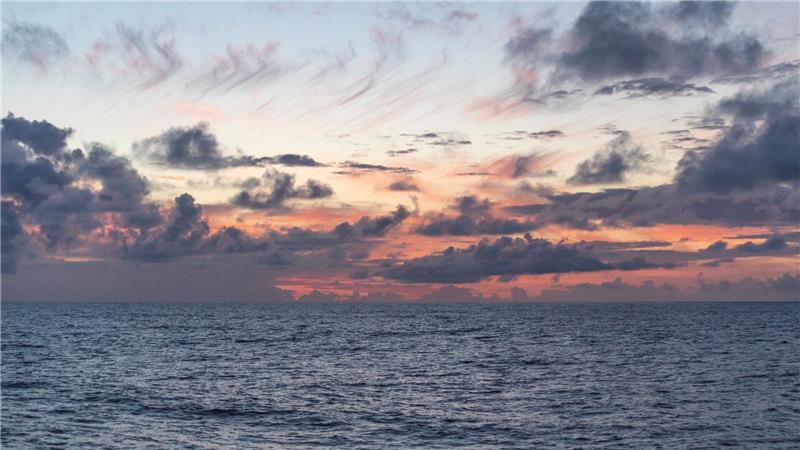 Industrieabgase wirbeln Ökosystem im Ozean durcheinander Untersucht wurde eine Region nördlich von Hawaii, die sogenannte Nordpazifische Übergangszone.