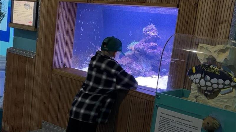 „Leben mit Krebs“ organisiert Urlaub für vier Goslarer Geschwister Unterwasser-Abenteuer: Besuch im Aquarium auf Fehmarn.