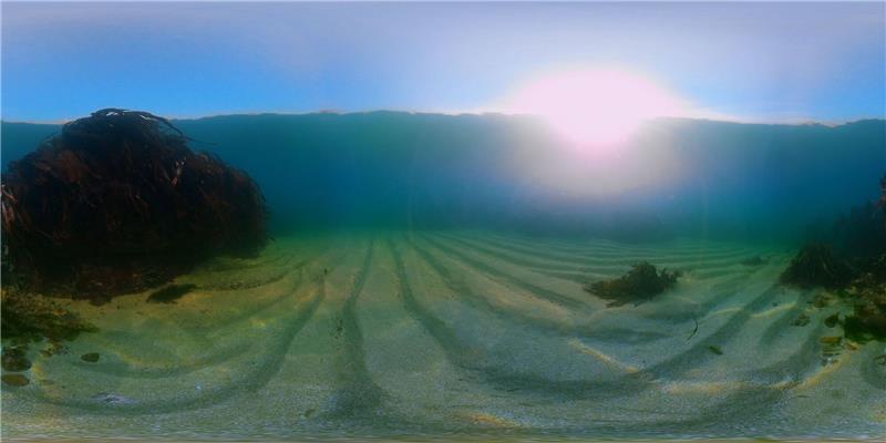 Unterwasser-Panoramaaufnahme in der Nordsee.