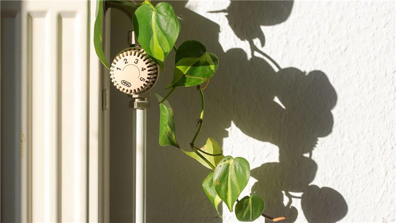 Verbände fordern klare Ansagen zur künftigen Heizungsförderung.