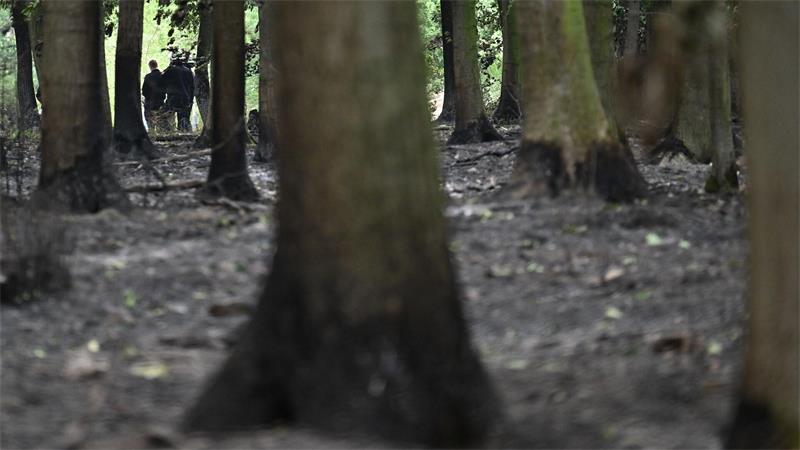 Verbrannte Waldflächen im Hürtgenwald