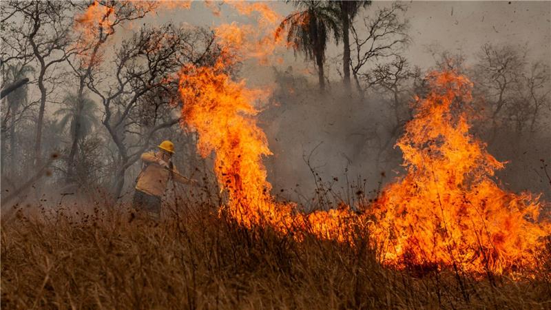 Verheerende Waldbrände herrschten im Pantanal. (Archivbild)