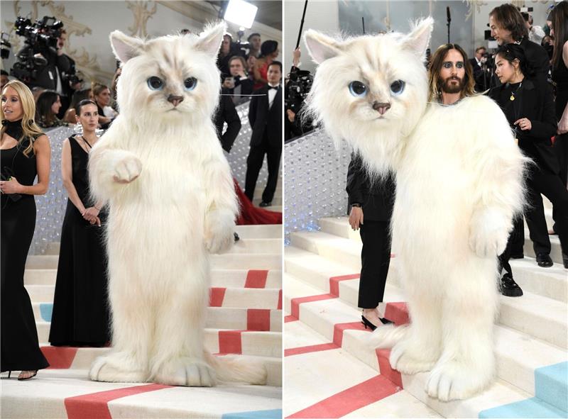 „Ikone”: Stars gedenken Karl Lagerfeld beim „Met Ball” Verkleidet als Katze: Jared Leto sorgte mit seinem Kostüm für Aufsehen bei der MET Gala.