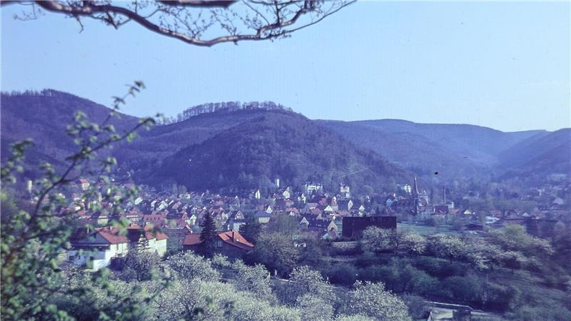 Rätselhafte Dias aus Harzburg aufgetaucht: Wer kennt die Motive? Vermutlich in den 1950er Jahren entstand die Panorama-Aufnahme vom Butterberg über Bad Harzburg. Sicher ist sich das Archiv-Team aber nicht und Hinweise sind nicht zu finden.
